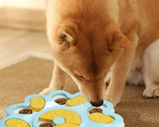 Puzzle Playtime: DIY Dog Toys with Homemade Treats to Challenge and Delight