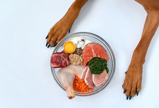 The Benefits of Incorporating Superfoods into Your Homemade Dog’s Treats