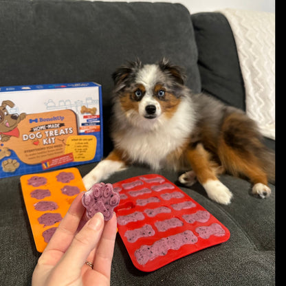 BoneItUp® Homemade Dog Treats Kit