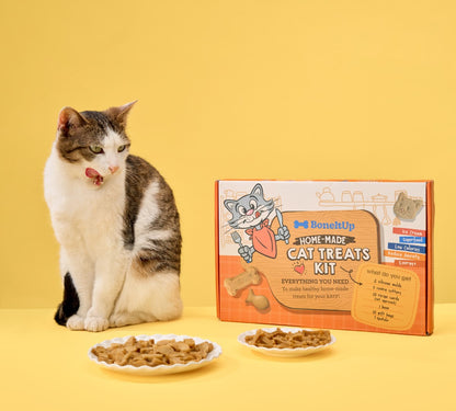 BoneItUp® Cat Edition Homemade Treats Kit