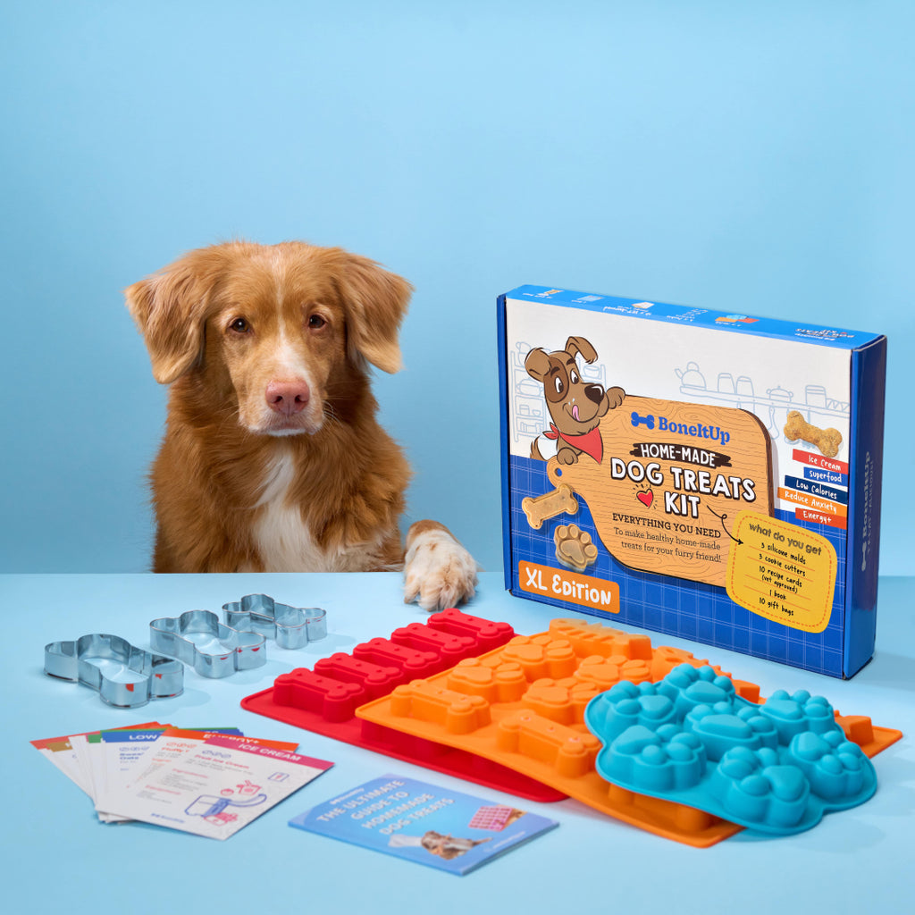BoneItUp® XL Edition Dog Treats Kit (for big dogs)