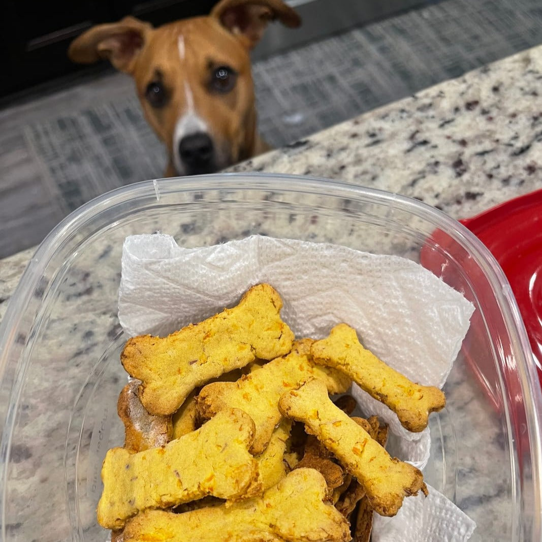 BoneItUp® Homemade Dog Treats Kit