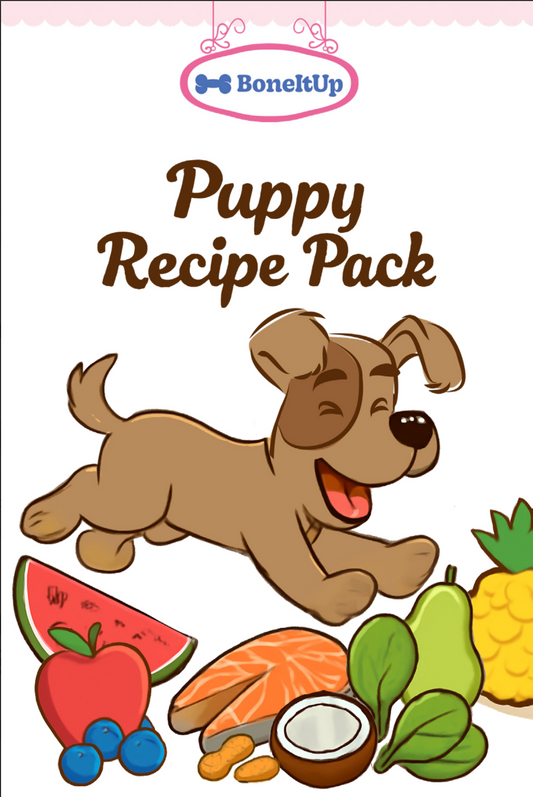 Puppy Pack Recipe Cards (10 Recipes)