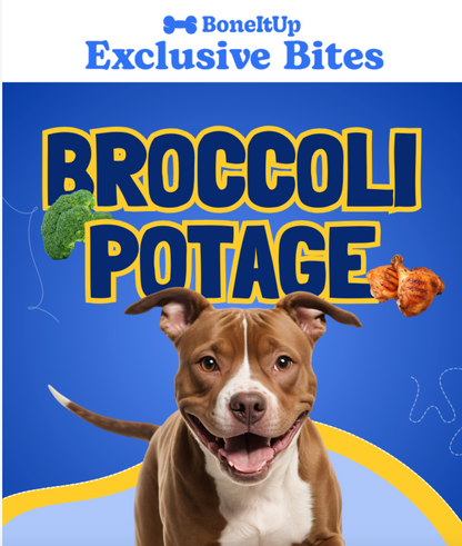 Exclusive Bites App (+Email)